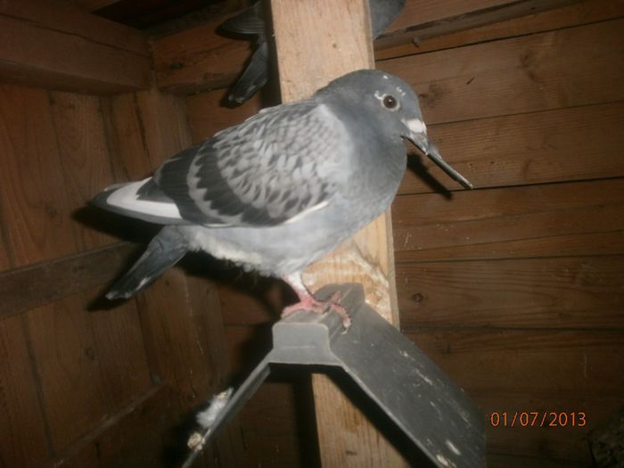 P7010059