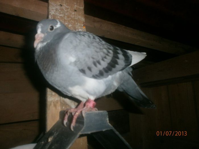P7010064