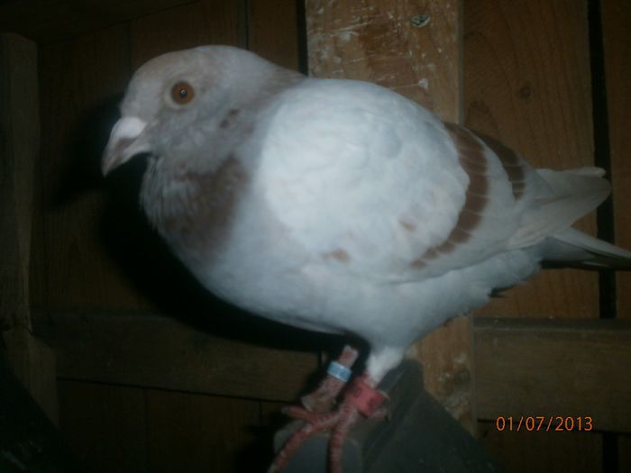 P7010073