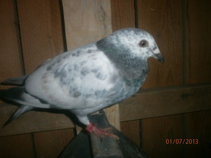 P7010075