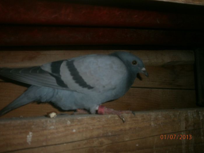 P7010092