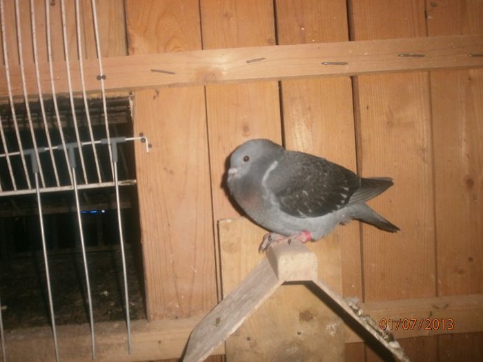 P7010094