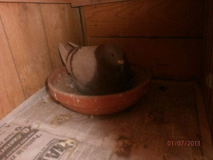 P7010128