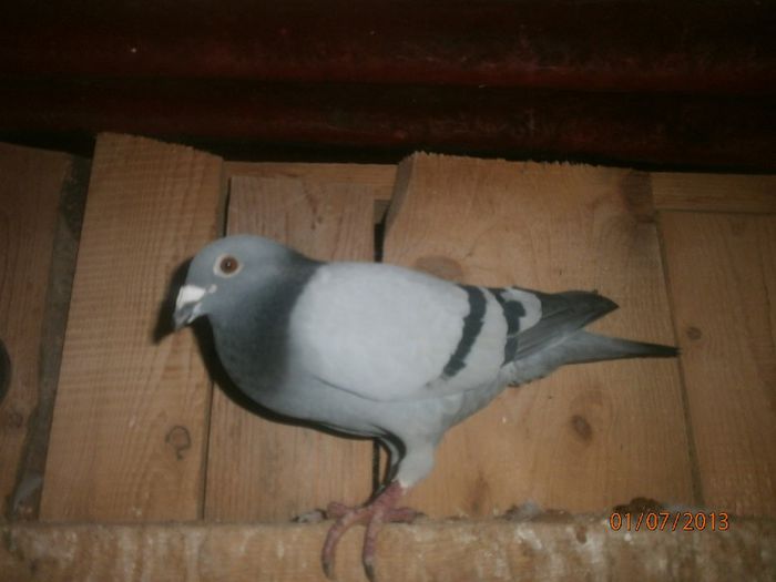 P7010134