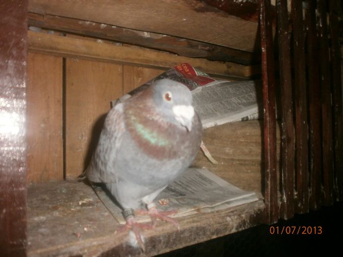 P7010152
