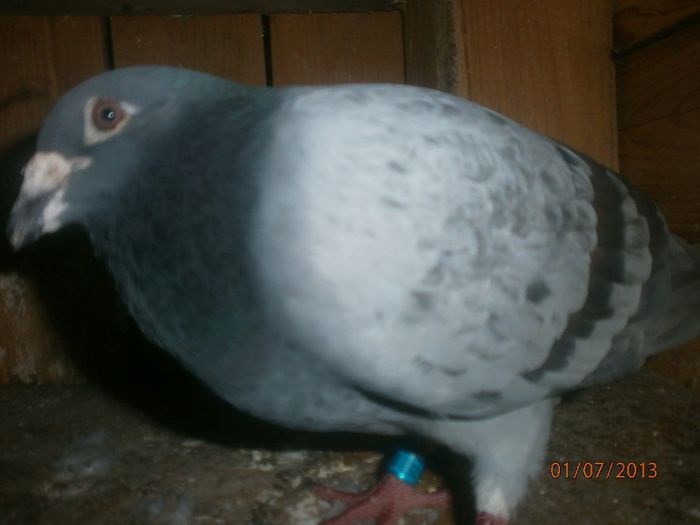P7010158