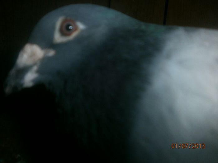 P7010172