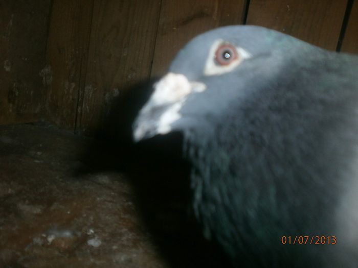 P7010174