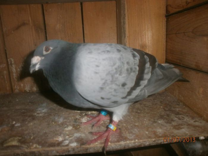 P7010182