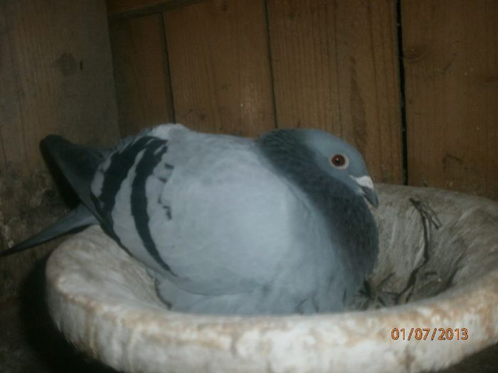 P7010201