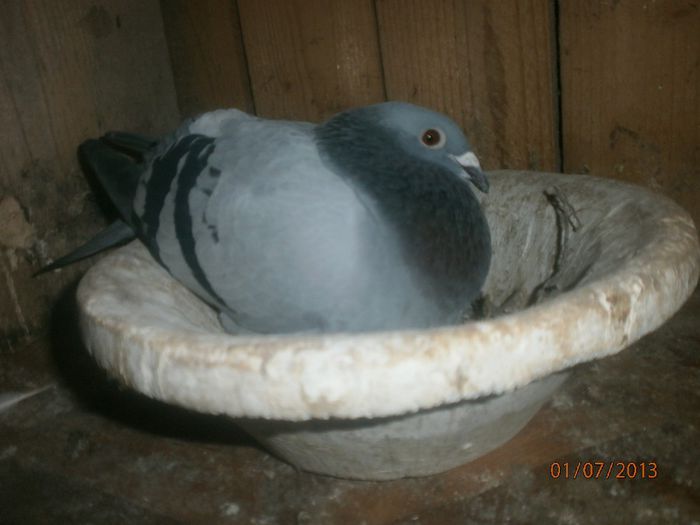 P7010202