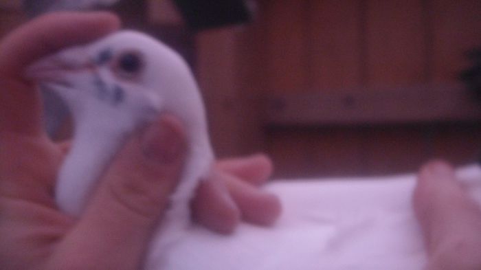 DSC03534