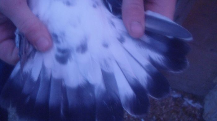 DSC03569
