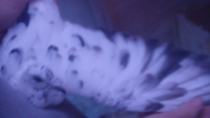DSC03574