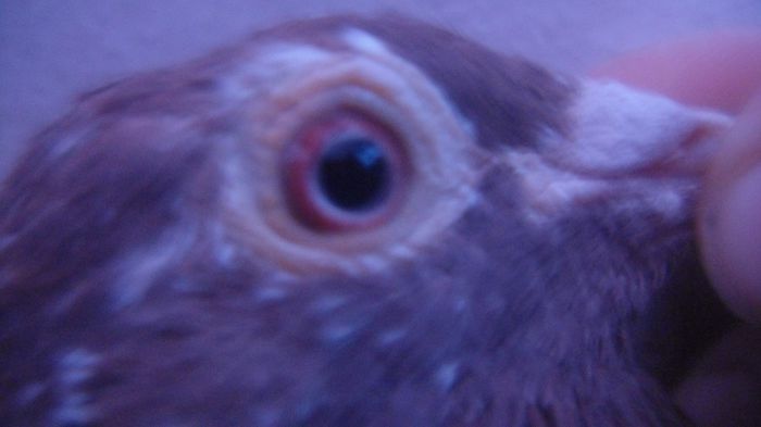 DSC03612