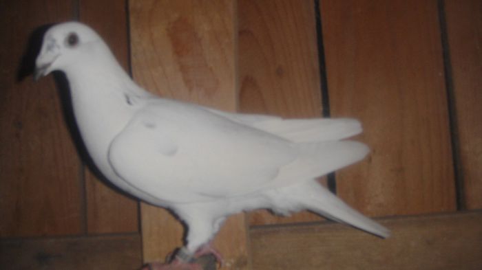 DSC03622