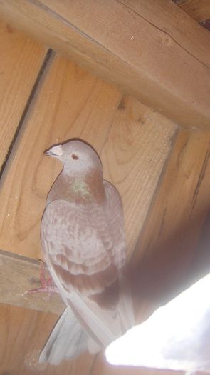 DSC03624
