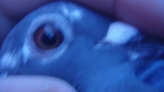 DSC03655