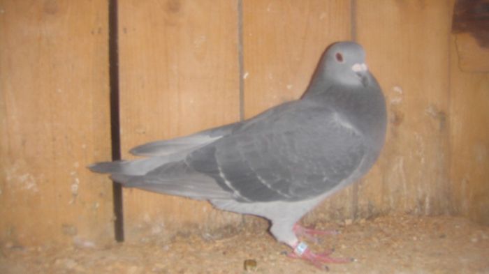 DSC03663