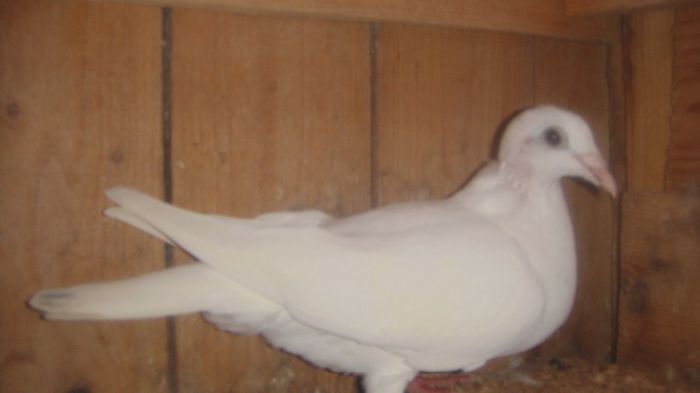 DSC03665