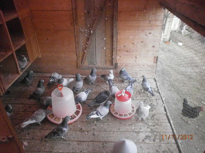 Picture 005