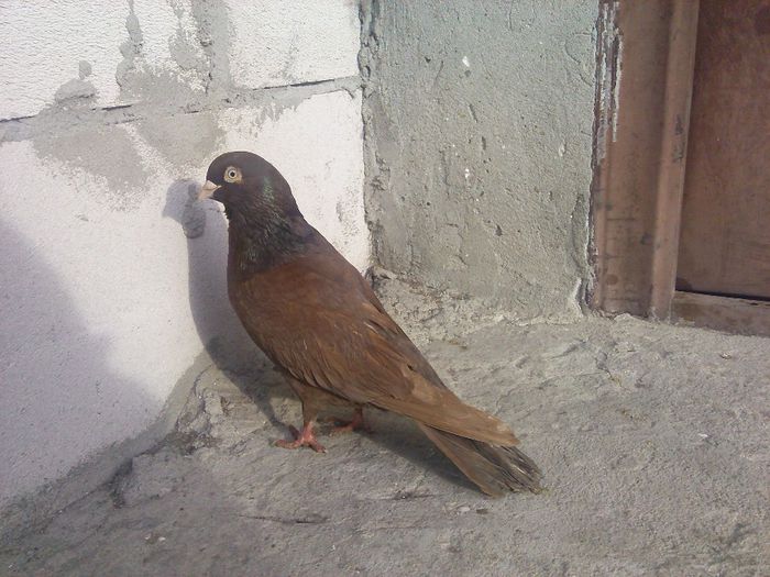 IMG_20140117_144649_949