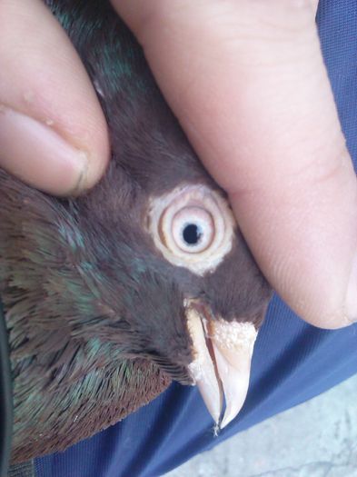 IMG_20140117_145839_580