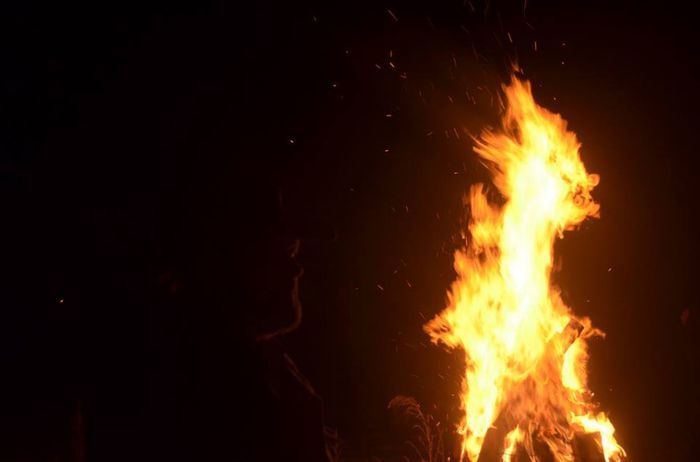 revelion 2014