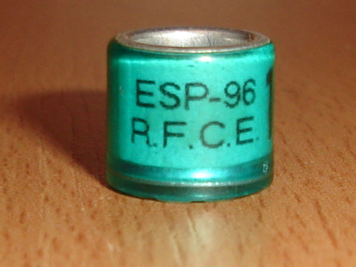 ESP 1996 RFCE - SPANIA