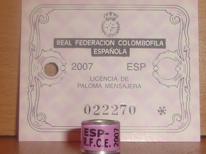 ESP 2007 RFCE - SPANIA