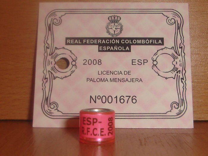 ESP 2008 RFCE. - SPANIA