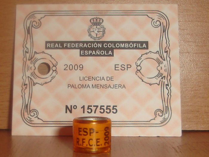 ESP 2009 RFCE - SPANIA