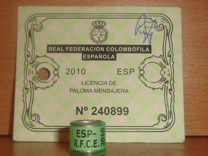 ESP 2010 RFCE - SPANIA