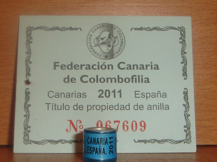 ESP 2011 CANARIA F.C.C.