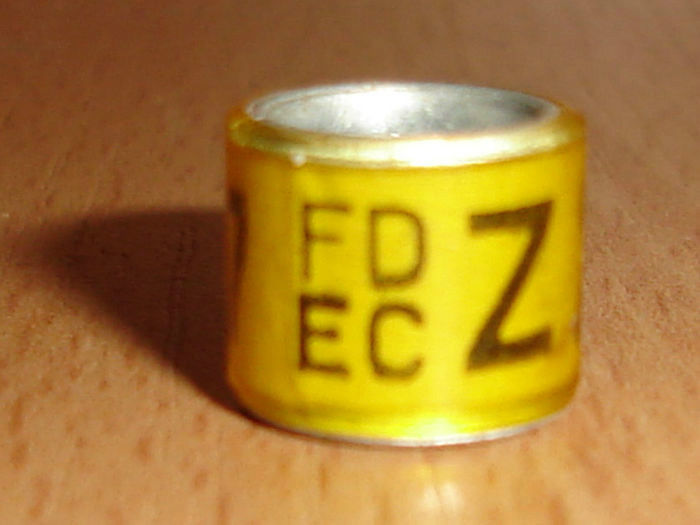 Espania FD EC Z - ORNAMENT STRAINE