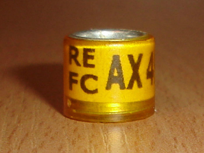 Espania RE FC AX - ORNAMENT STRAINE