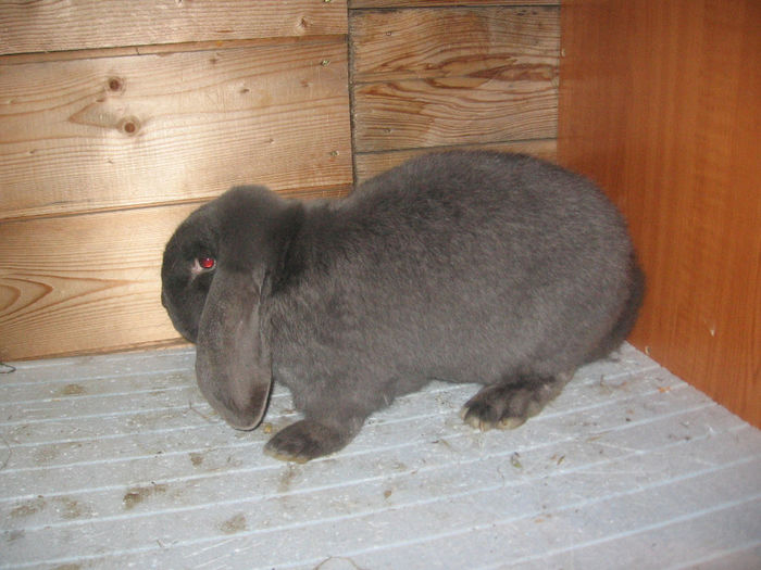 IMG_0089 - 17 01 2014