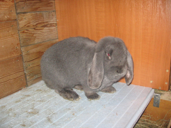 IMG_0091 - 17 01 2014