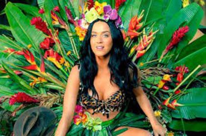 download - Katy Perry Roar