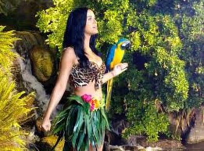 images (5) - Katy Perry Roar