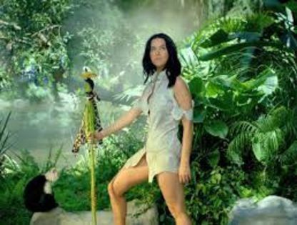 images (6) - Katy Perry Roar