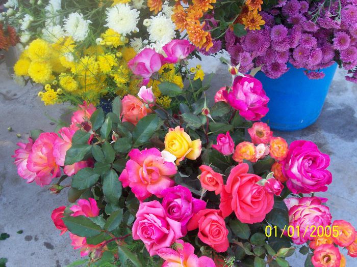 100_7168 - IN GRADINA