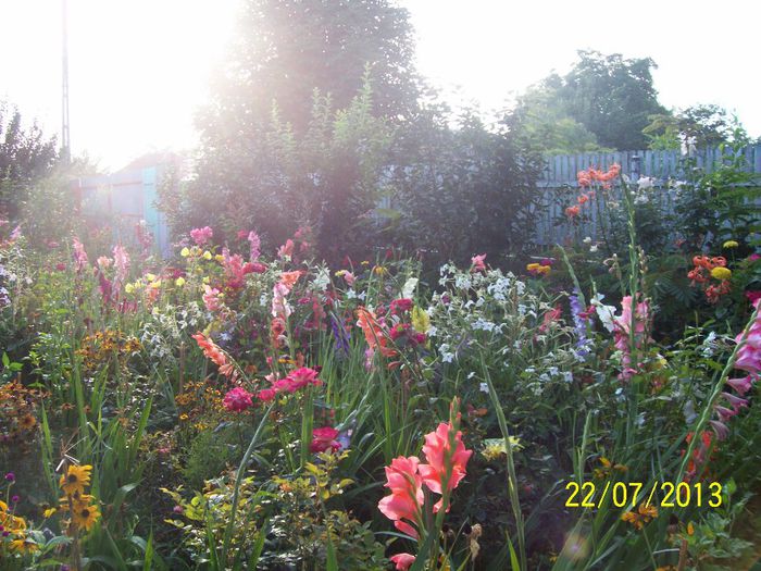 101_0980 - IN GRADINA