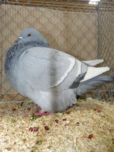 251