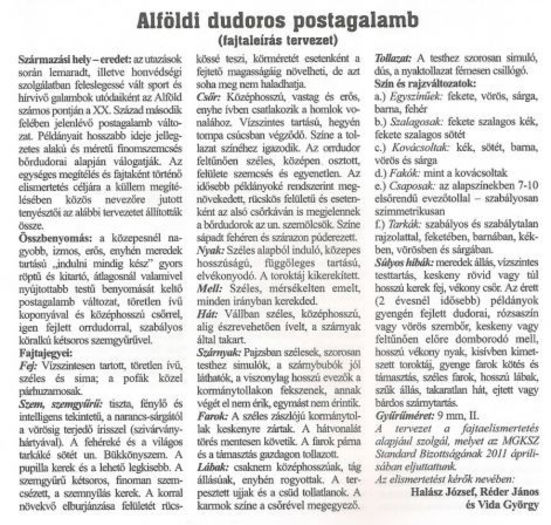 In sfarsit un standard? - aa- In cautarea idealului - Voiajori stil vechi