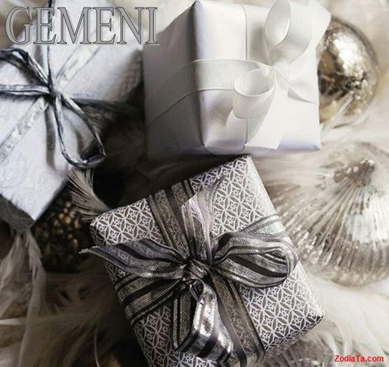 3-Poze-zodii-GEMENI3