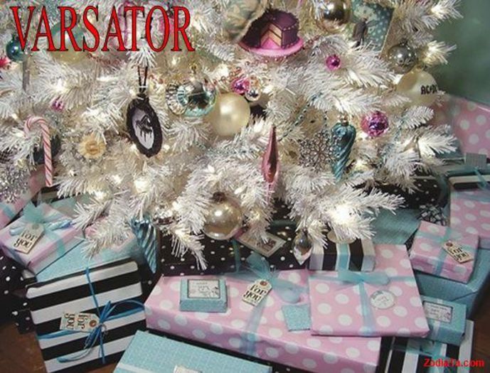 11-Poze-zodii-VARSATOR4 - Poze zodii