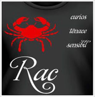 download - Poze zodii