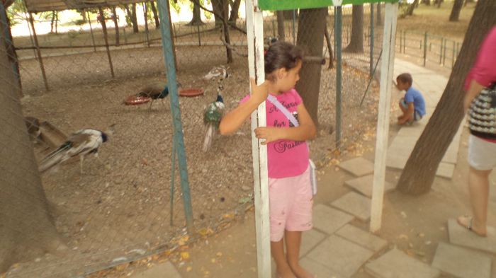 Picture 512