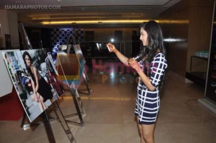 hpse_normal__3455621816_Krystle D_Souza at Telly Calendar 2014 launch in Westin Hotel, Mumbai on 23r